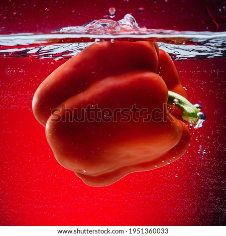 Red Bell Pepper Falls Water Splashes Red Background Freeze Motion
