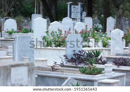 Gravestones and graves at Muslim cemetery. Graves background. Royalty-Free Stock Photo #1951365643