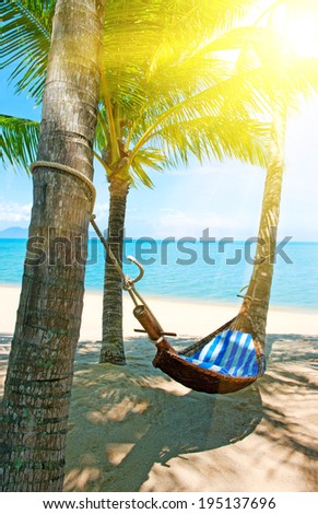 Hammock in the palm on the tropical beach