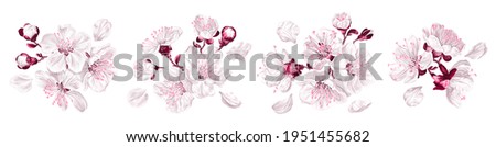Vector set spring flower arrangements. Hand-drawn highly detailed white and pink cherry blossoms, sakura. Clip art elements for your design, postcards, cosmetics packaging, wrapping paper, textiles