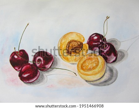 Watercolour illustration of cherries and apricot. The idea for decoration of books, postcards, and packages.
