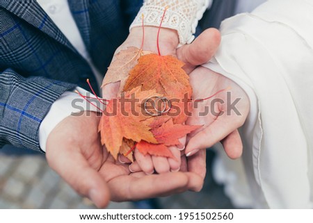 Close-up photo, hands of the bride and groom holding autumn leaves, and their wedding rings, wedding photo
