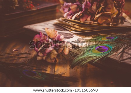 Memories - Old book and photo album, dried flowers and peacock feather eye in vintage style Royalty-Free Stock Photo #1951505590