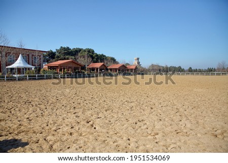 Horse stables . A large arena with sand for horses . Elite Horse and Polo Club . training ground. horse club. Sand Stadium for horseback riding. Horse home .
