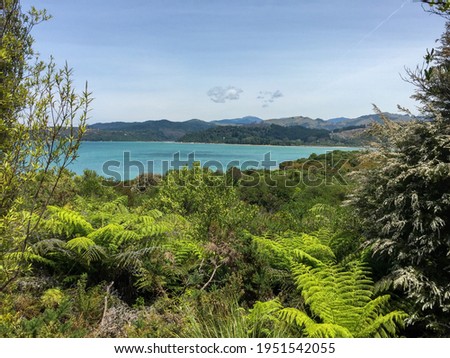 Bay and jungle of famous Abel Tasman National Park, South Island of New Zealand