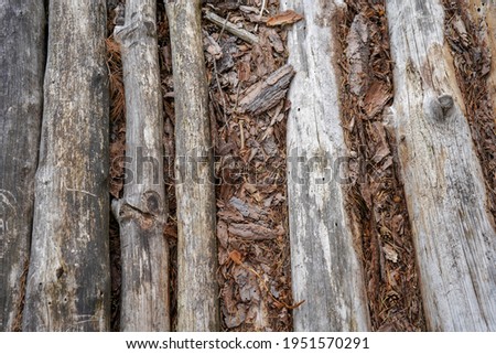 Looking down on an old pile of pine logs