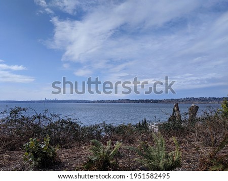 View of the Seattle and Bellevue skyline across Lake Washington on a bright, sunny day with a sprinkling of clouds