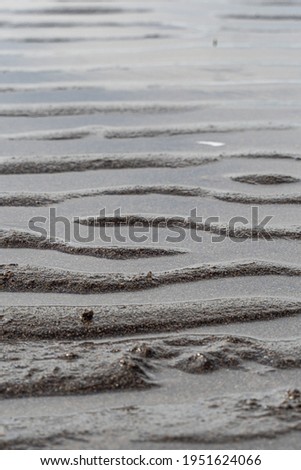 wet sandy beach with lines of small ridges by the coast on the low tide