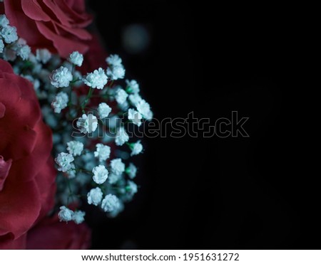 Rose flowers, place for text, roses gift for holidays, background. Selective focus. Roses on a black background. Bouquets of roses. Background.