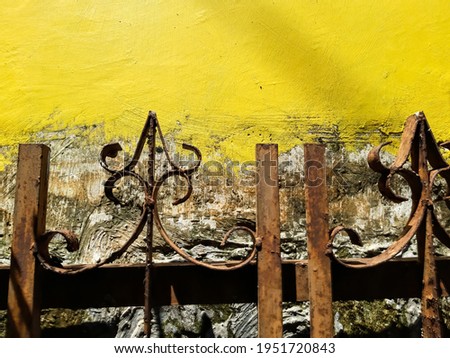 Vintage hedge with yellow wall for background