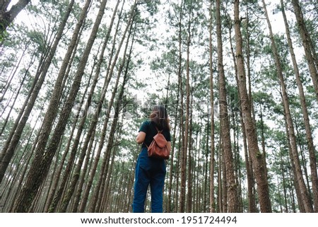 Traveler woman take a photograph in nature Pine Park. Tourist with camera travel photo of photographer Making pictures Traveling Trip Sightseeing Tourism concept