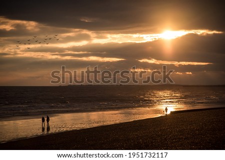Golden Sunset at the beach