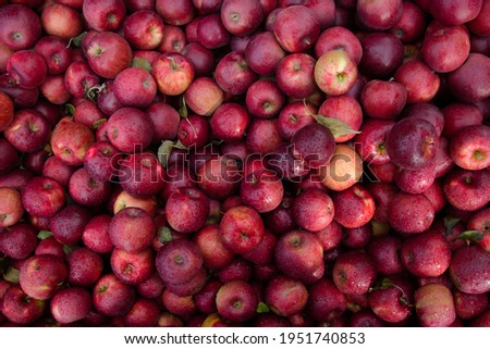 Red apples, wet with droplets from a recent rain, are piled into a large container and photographed from above. Image is closely cropped to include the fruit only.