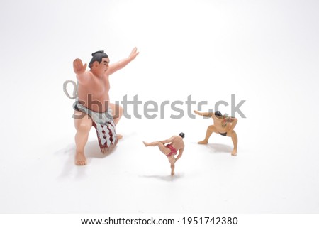the mini Sumo figure are fighting at board