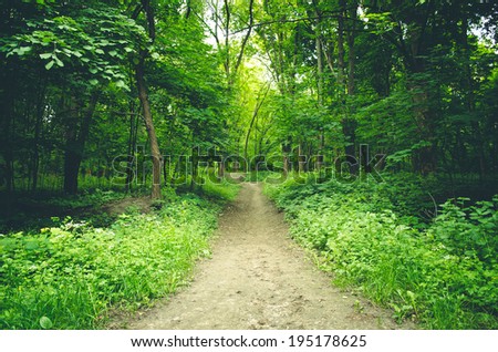 Forest trail Royalty-Free Stock Photo #195178625
