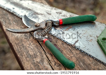 Garden secateurs and saw lying on an old wooden surface. Old garden tools. Work in the garden. Natural lighting. Selective soft focus.