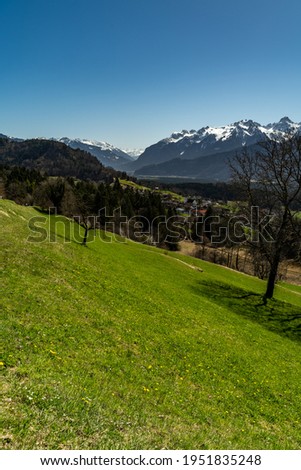 Tree on the steep slope of the mountains of the great valley of Walser. Backlit shot with the mountains of Bludenz and Brand in the background. snow covered Austrian mountains under the sunny blue sky