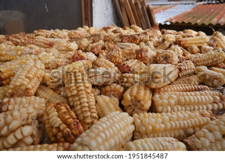 The view over the texture of the dried corn. dry corn for processing 
