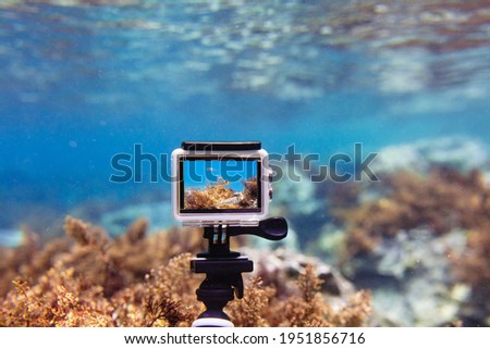Using action-camera in waterproof box to make photos and video underwater Royalty-Free Stock Photo #1951856716