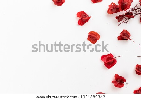 Red petals from dried flower, floral flat lay background with copy space photo