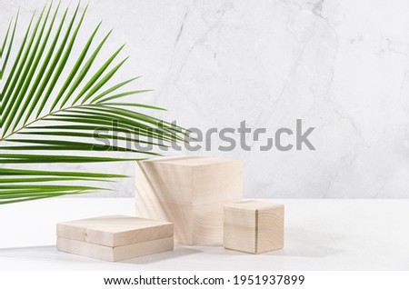 Wooden podiums with green palm leaf, shadow in elegant white interior with grey marble wall in sun light for cosmetics product display.