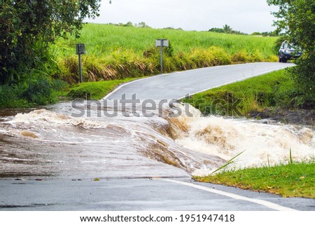 flooded road by an overflowing river, natural disaster Royalty-Free Stock Photo #1951947418