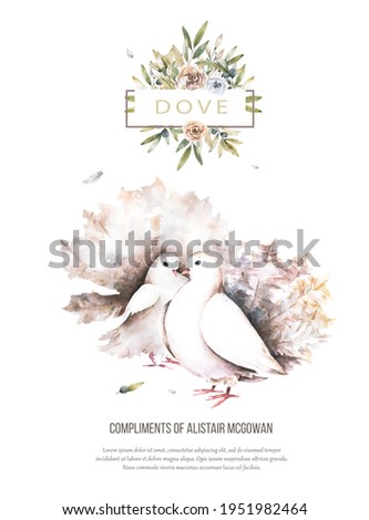 Pigeon set clip art watercolor dove bird fly, feather, peace isolated design card. Wedding. invite postcard illustration similar on white background