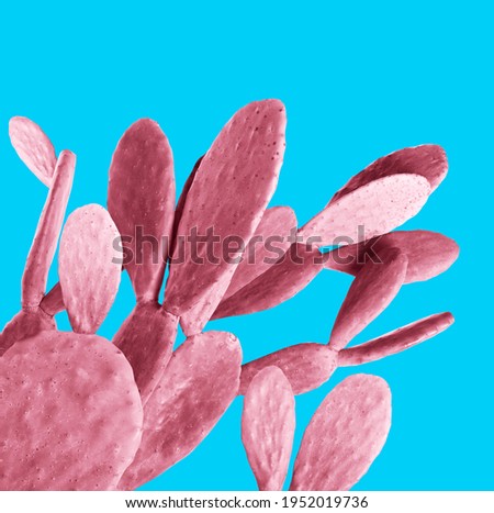 Pink cactus on light blue background. Creative design