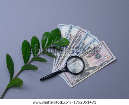 Banknotes of 50 and 100 US dollars on a dark gray background with a magnifying glass and a branch of zamiokulkas. Inflation, exchange rate differences of world currencies. Horizontal photo, top view. 
