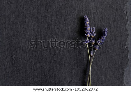Dark gray black stone slate lavender