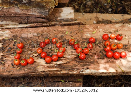 The word "Love" was created from the red tomatoes, were arranged on wooden ground.