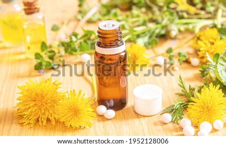 Celandine dandelion extract in a littel bottle, treatment, medicine, tincture. selective focus.nature