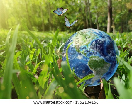 Together we can save the world and offer the better world for our children and Earth day concept, Butterfly and love heart shaped earth on hands, Elements of this image furnished by NASA
