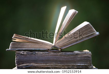 Literature, reading concept: old open book
