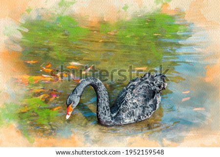 Black Swan watercolor pattern colorful illustration
