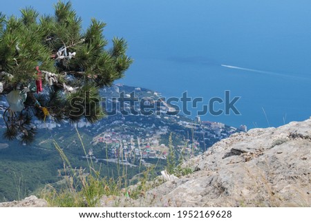 Top view from the mountain to the sea and the city below. On the left on the mountain is a pine tree with tied ribbons for making a wish