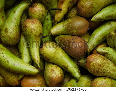 Background of ripe bright green pears with brown spots. The texture of greenhouse fruits in the window of the market, shop. Top view, close-up, food wallpaper. The concept of harvesting.