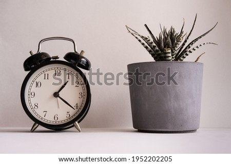 Close-Up Of Potted Plant And Clock