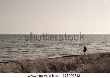 Silhoutte of a person walking on the beach in black and white. The picture was taken at wintertime in Ljunghusen, Sweden. 