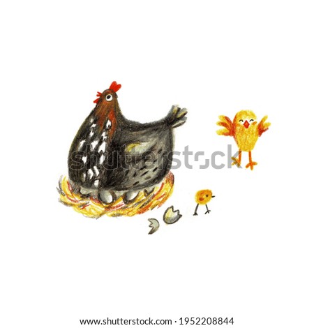 The illustration of a chicken hatching an egg. Chicken.