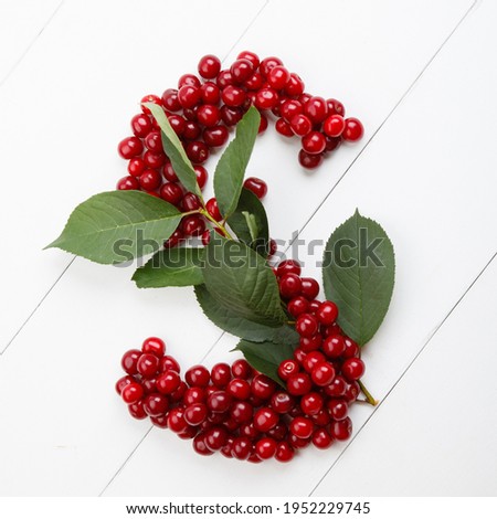 Letter S from summer harvest of cherry on white wooden background. Fruit summer alphabet. Sweet mood font. Letter S from green leaves and cherry berries. Colorful ABC, Text 