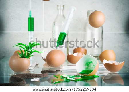 Chicken brown eggs shells and syringes with green substance and medical glass Royalty-Free Stock Photo #1952269534