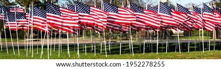 A horizontal picture full of American Flags blowing in the wind on a lawn by the highway.