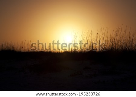 beautiful sunset on the beach in Florida
