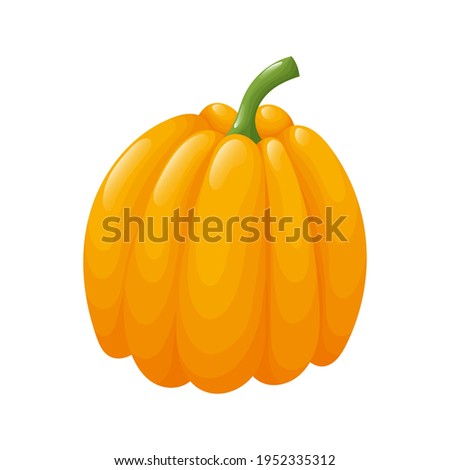 Cute orange pumpkin. Isolated vegetable in the white background. Flat style illustration.