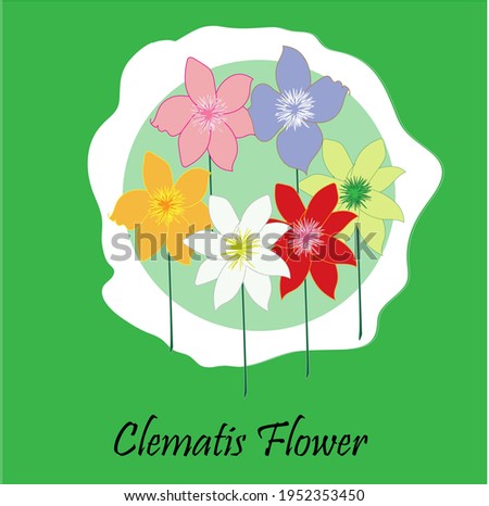 six colorful clematis flowers with green stalks with light blue frames on dark green background