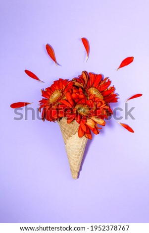 waffle cone with orange-red gerberas on a lilac background. Creative minimalism.