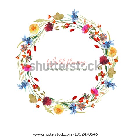 Wreath of watercolor cornflowers, dandelion, clover and other wildflowers, isolated illustration on white background