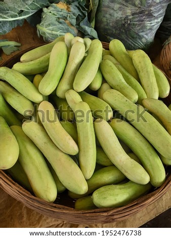 
Kakdi - Cucumber High Resolution Stock Photography and Images
