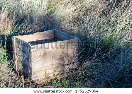 wooden crate lying in the field